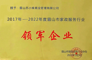 眉山市家政服务行业领军企业